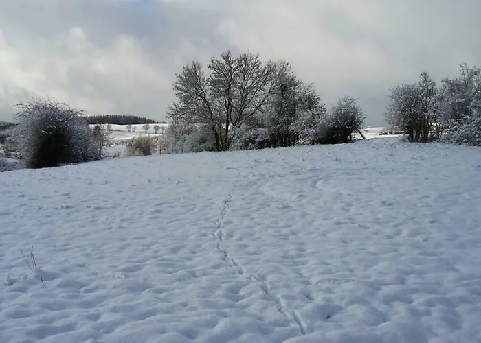 Zur Schoenen Aussicht هيلينثال